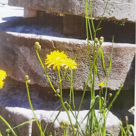Drei Muhlsteine Bezau